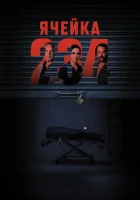  Ячейка 234 смотреть онлайн (2023) 