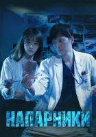  Напарники смотреть онлайн сериал 1-2 сезон 