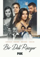  Сумасшедший ветер смотреть онлайн сериал 1 сезон 