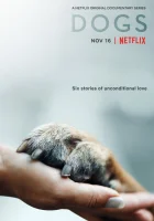  Собаки смотреть онлайн сериал 1-2 сезон 
