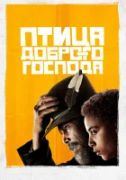  Птица доброго господа смотреть онлайн сериал 1 сезон 