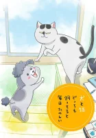  Весёлые дни с кошкой и собакой смотреть онлайн аниме сериал 1 сезон 