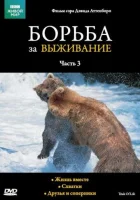  BBC: Борьба за выживание смотреть онлайн сериал 1 сезон 