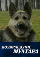  Возвращение Мухтара смотреть онлайн сериал 1-10 сезон 