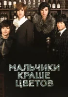  Мальчики краше цветов смотреть онлайн сериал 1 сезон 