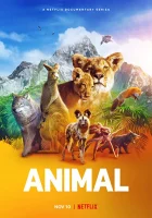  Удивительные животные смотреть онлайн сериал 1 сезон 