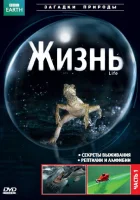  BBC: Жизнь смотреть онлайн тв шоу 1 сезон 