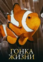  Гонка жизни смотреть онлайн тв шоу 1 сезон 