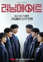  Напарник на выборах смотреть онлайн сериал 1 сезон 