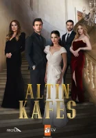 Золотая клетка смотреть онлайн сериал 1 сезон 