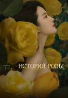  История розы смотреть онлайн сериал 1 сезон 