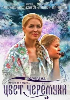  Цвет черемухи смотреть онлайн сериал 1 сезон 