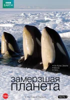  BBC: Замерзшая планета смотреть онлайн тв шоу 1 сезон 