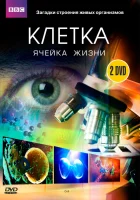 BBC: Клетка смотреть онлайн сериал 1 сезон 