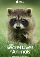  Тайная жизнь животных смотреть онлайн сериал 1 сезон 