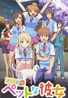  Кошечка из Сакурасо смотреть онлайн аниме сериал 1 сезон 