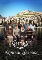  Черный цветок смотреть онлайн сериал 1-4 сезон 