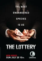  Лотерея смотреть онлайн сериал 1 сезон 
