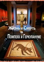  Жизнь и смерть в Помпеях и Геркулануме смотреть онлайн (2013) 