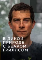  В дикой природе с Беаром Гриллсом смотреть онлайн тв шоу 1-2 сезон 
