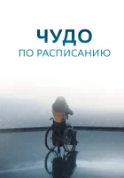  Чудо по расписанию смотреть онлайн сериал 1 сезон 
